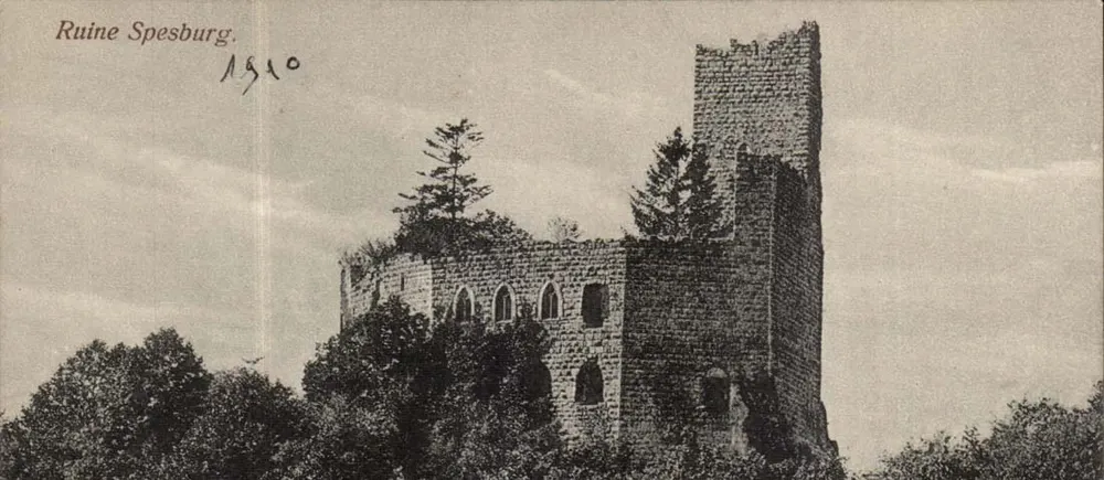 Ruínas de Spesburg — Ruínas de Spesburg — Emil Hartmann, Straßburg - Frente