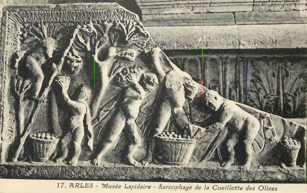 Arles - Lapidaire-Museum - Sarg der Oliven-Ernte - Vorderseite