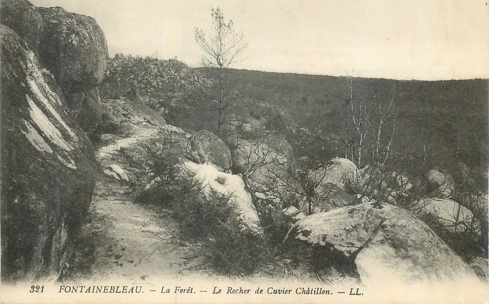 Fontainebleau — Die Forêt — Le Rocher de Cuvier Châtillon — LL. - Vorderseite
