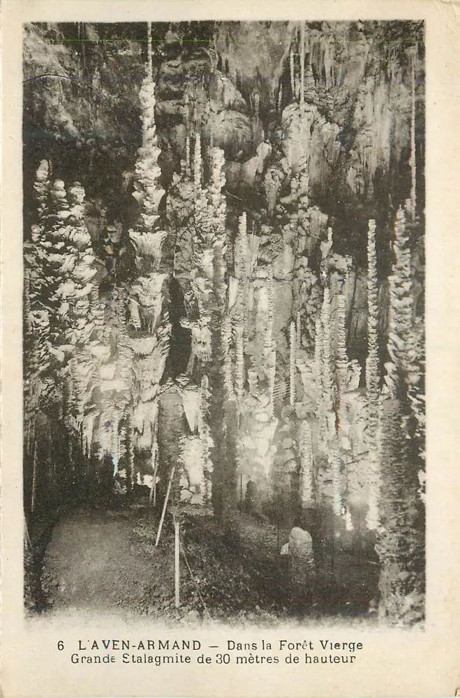 L'Aven-Armand — In der Urwald — Große Stalagmite von 30 Metern Höhe - Vorderseite