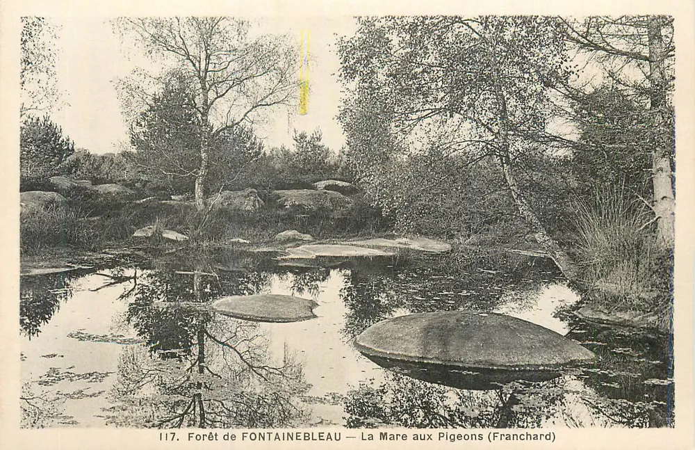 Wald von FONTAINEBLEAU — Der Ententeich (Franchard) - Vorderseite