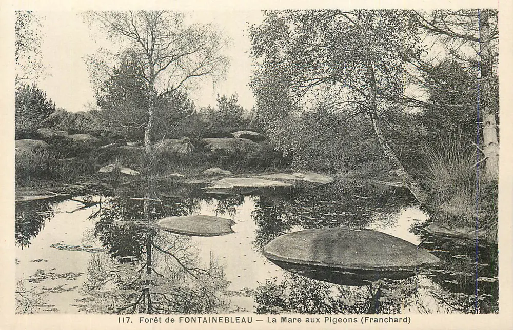 Wald von FONTAINEBLEAU — Der Taubenteich (Franchard) — n°117 - Vorderseite