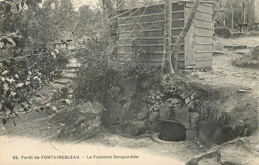 Wald von FONTAINEBLEAU — Quelle Sanguinède — Verlag: J. P. S. - Vorderseite