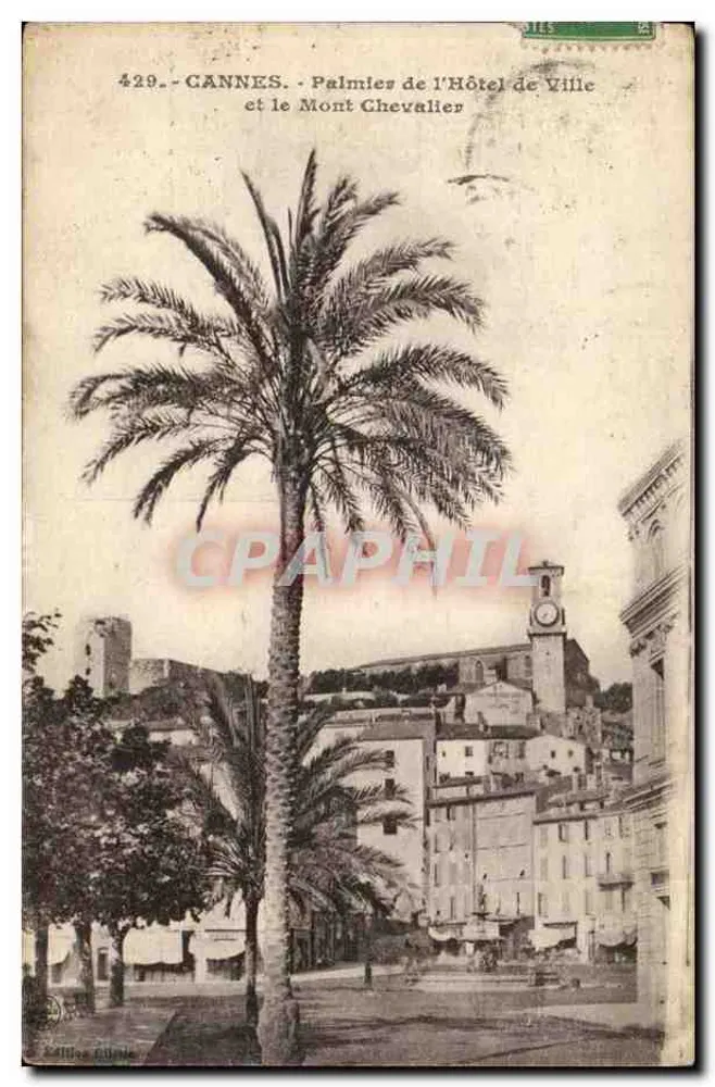 Cannes - Palmen des Rathauses und der Mont Chevalier — Verlag Camp, Paris, Nr. 429 - Vorderseite