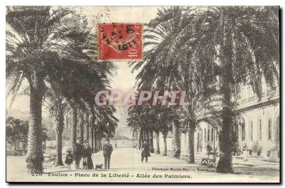 Toulon - Place de la Liberté - Allée des Palmiers — Phototypie Marius Par. — Toulon - Vorderseite