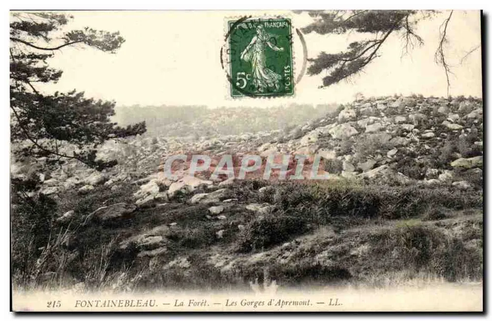 Fontainebleau — Der Wald — Die Gorges d'Apremont — LL. — Nr. 215 - Vorderseite