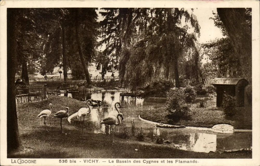 Vichy — Der Schwannenteich und die Flamingos — La Cigogne, n° 536 bis - Vorderseite