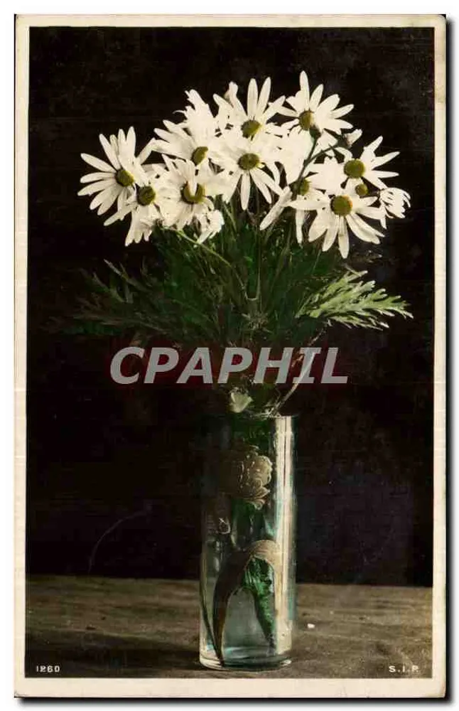 Blumenstrauß aus Margeriten — S.I.P. — Nr. 1860 - Vorderseite