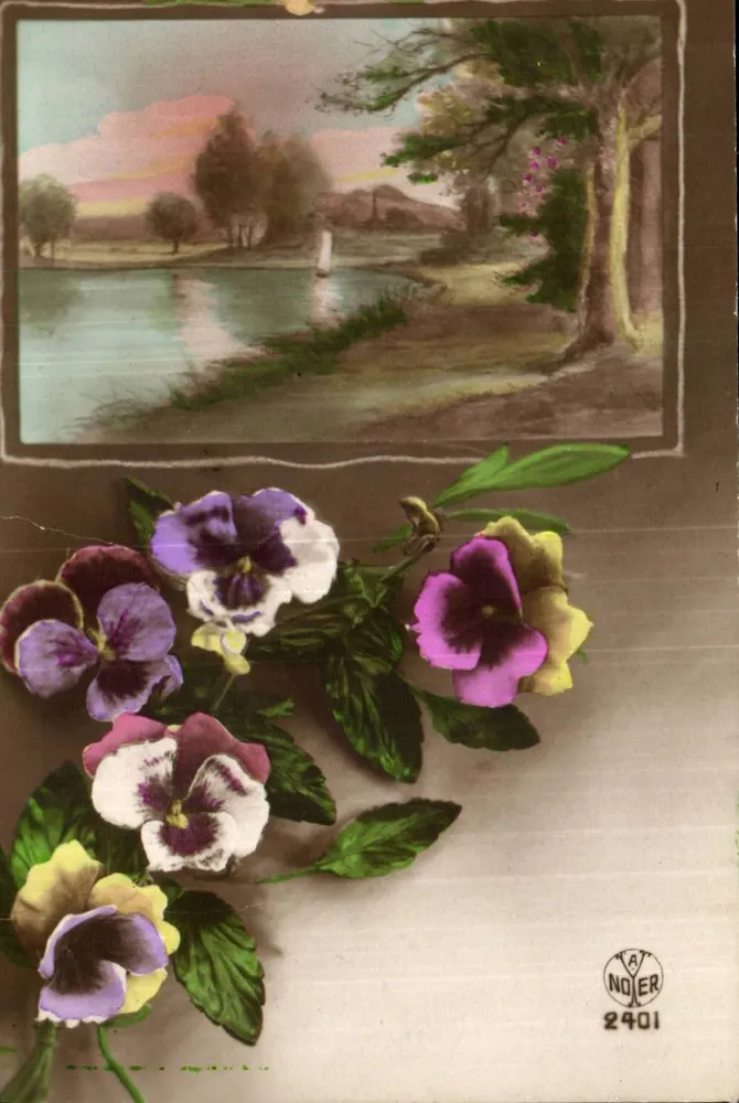 Margeriten — Seenlandschaft bei Sonnenuntergang — A. NOER n°2401 - Vorderseite