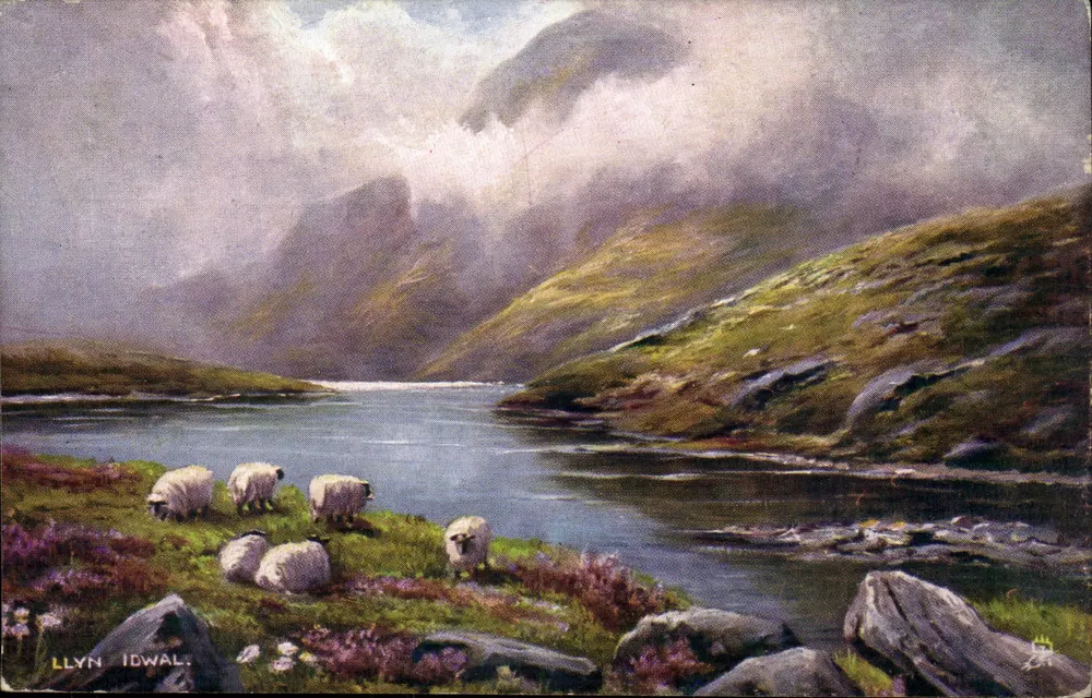 लिन आइडवाल — पहाड़ी दृश्य जिसमें भेड़ें हैं — टक के पोस्टकार्ड, श्रृंखला 1 - आगे