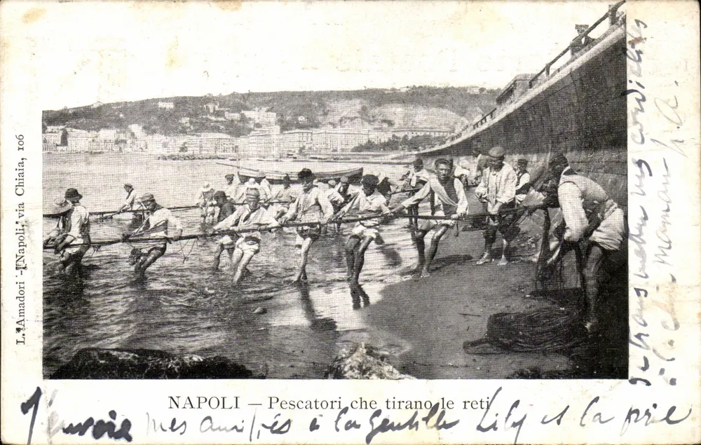 Naples — Fischer, die Netze ziehen — L. Amadori, via Chiaia, 106 - Vorderseite
