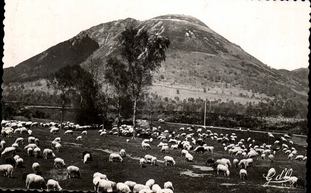 Weiden am Fuße des Puy-de-Dôme — Auvergne — Verlag G.d'P. - Vorderseite