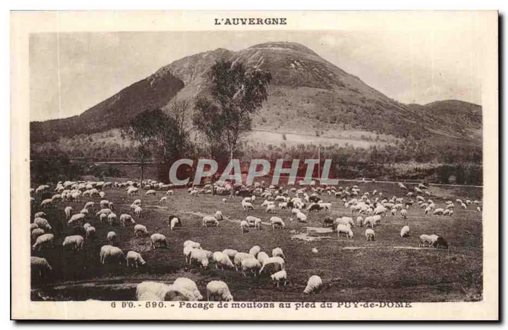 Landschaft mit Schafen am Fuße des Puy-de-Dôme — Auvergne — Verleger J. Gouttebellec (P.-de-D.) - Vorderseite