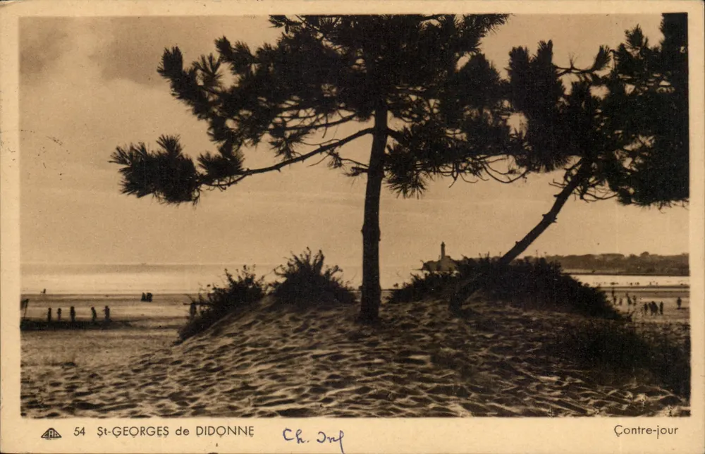 St-Georges de Didonne — vista da praia com pinheiro — editor A.R. n°54 - Frente