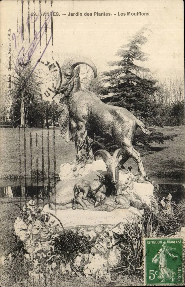 NANTES — Jardin des Plantes — Les Mouflons — Éditeur F. Chapeau, n°69 - Vorderseite