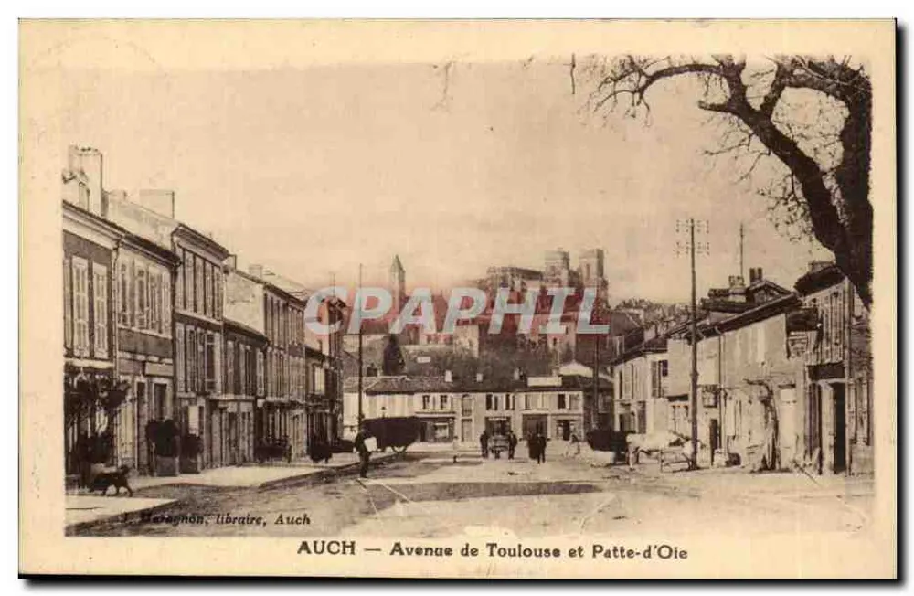 Auch — Avenue de Toulouse und Patte-d'Oie — Librairie Meragnon, Auch - Vorderseite