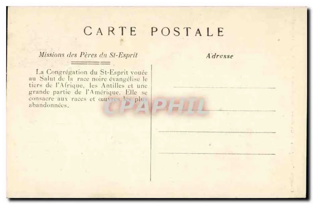 Französisch-Kongo — Die kongolesische Flora — Ein Bergbaum — Missions des Pères du St-Esprit - Rückseite