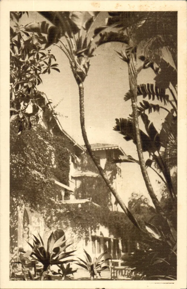 Jardim tropical — Hotel St-George — A.L. GIMY - Frente
