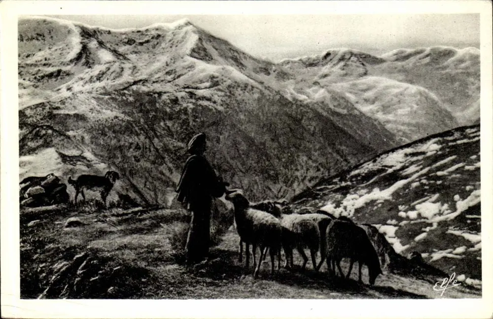 Der Schäfer mit seiner Herde — in den Hochlagen — Verleger: Tableaux Pyrénéens, Toulouse, Nr. 1205 - Vorderseite