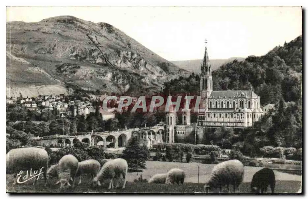 Lourdes — Die Basilika und der Pic du Jer — Edition P. D'Occet - Vorderseite