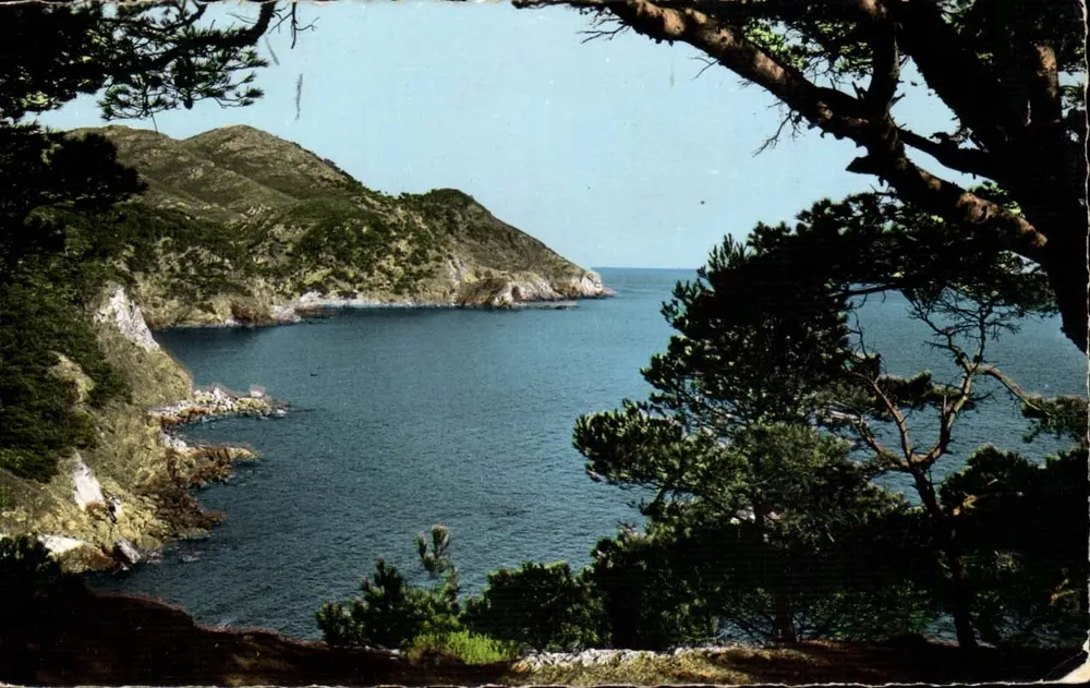 Le Brusc — Aussicht aufs Meer — Éditions S.E.P.T. - 78-8 A - Vorderseite