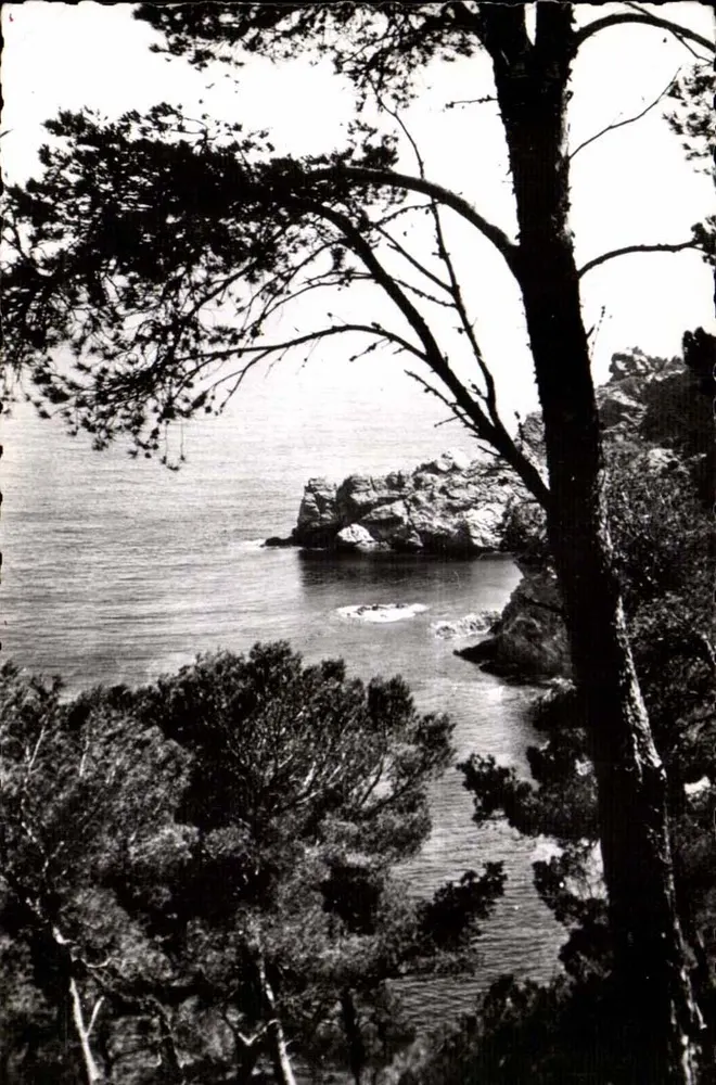 Insel Porquerolles — Ufer des Meeres — Images de Chez Nous, P 511 - Vorderseite