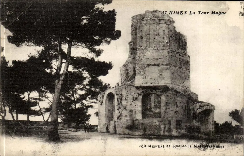 Nîmes - A Torre Magne — ruínas antigas com pinheiros — editor Marchat, n°32 - Frente