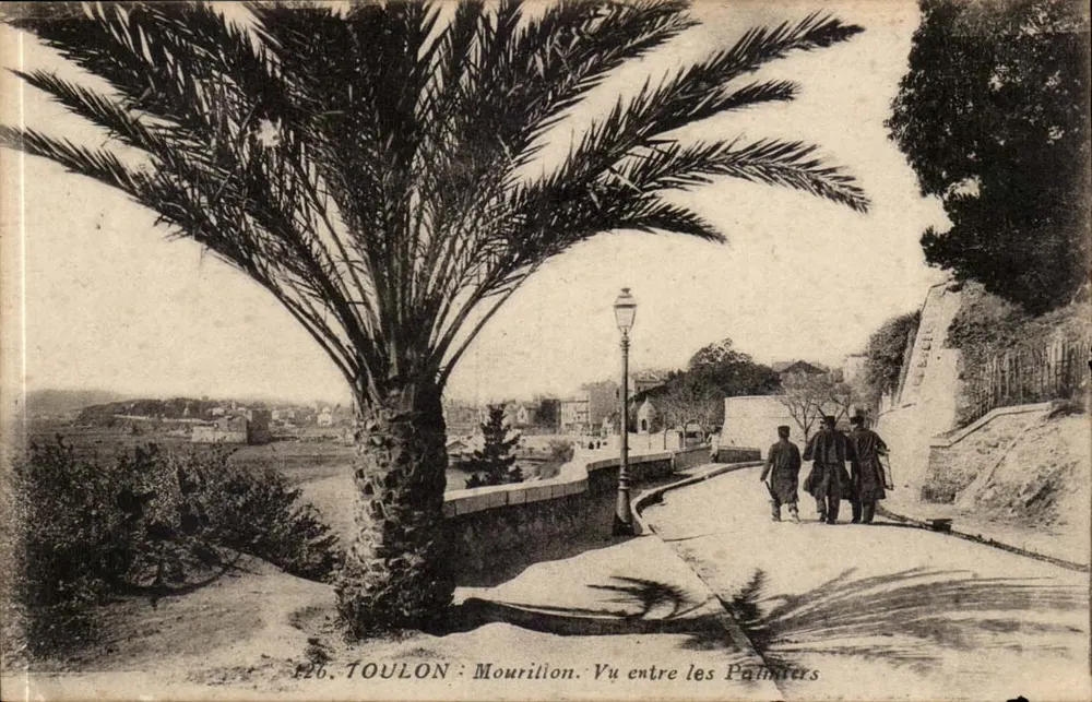 Toulon : Mourilion. Ansicht zwischen den Palmen — Verlag: Ansichtskarte (Nr. 126) - Vorderseite