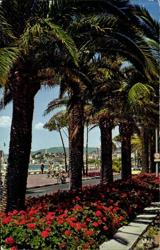 Cannes — Promenade dos Ingleses — Editor IRIS - Frente
