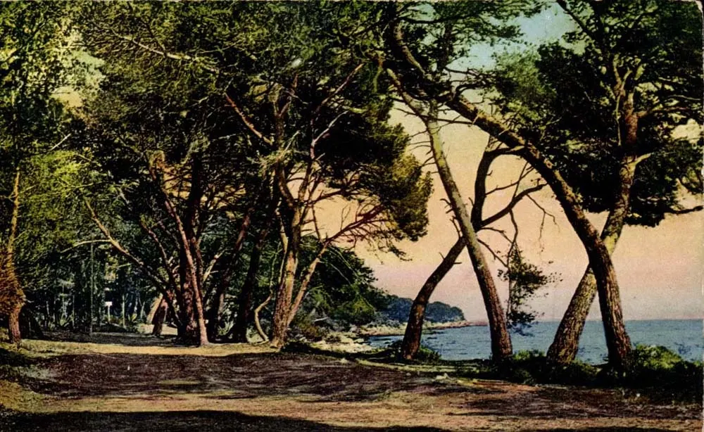 Île Sainte-Marguerite — Allée sous bois — Levy & Neubdein, Paris - Vorderseite