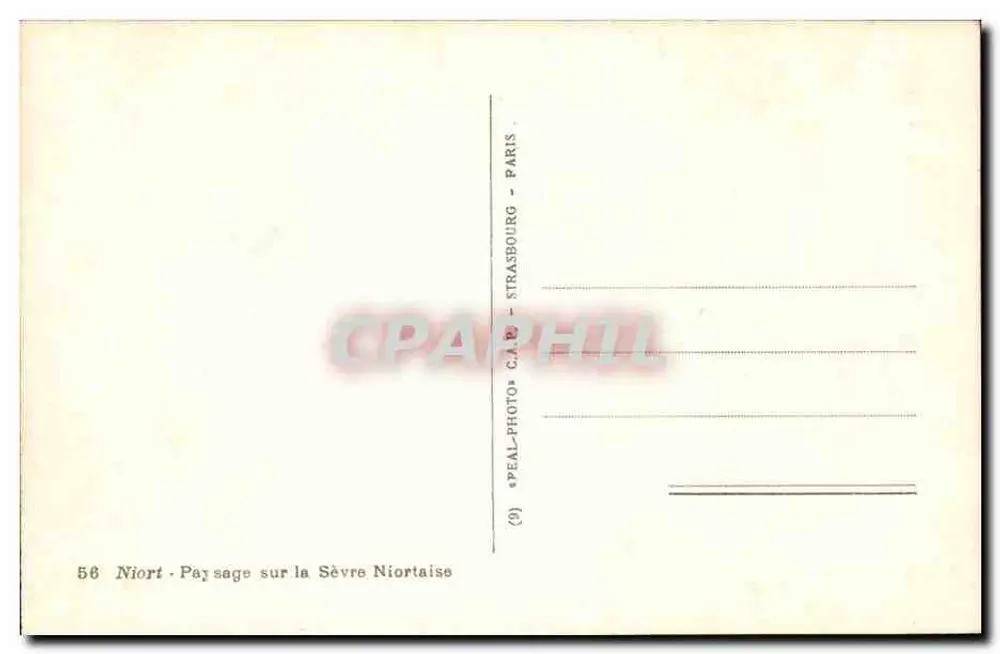 Niort — Paysage sur la Sèvre Niortaise — éditeur PEAL-PHOTO-CARD, Paris - Verso