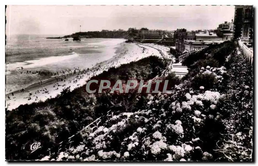 Biarritz — Les Hortensias et la Grande Plage — Réal-Photo - Recto