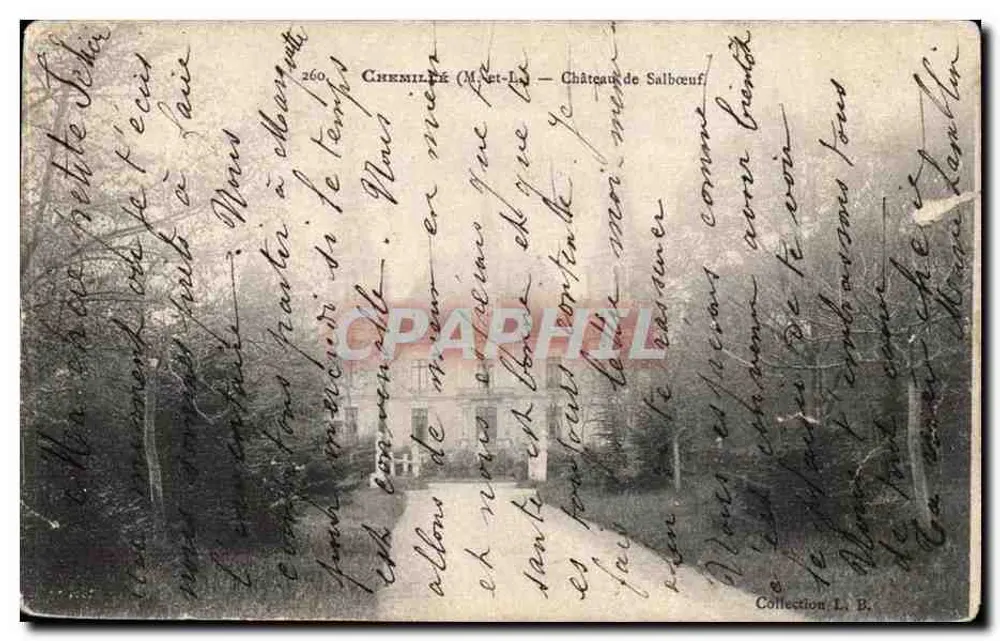 सल्बॉफ के किला — चेमिले (एम.-एंड-एल.) — ल. बी. के संग्रह - आगे