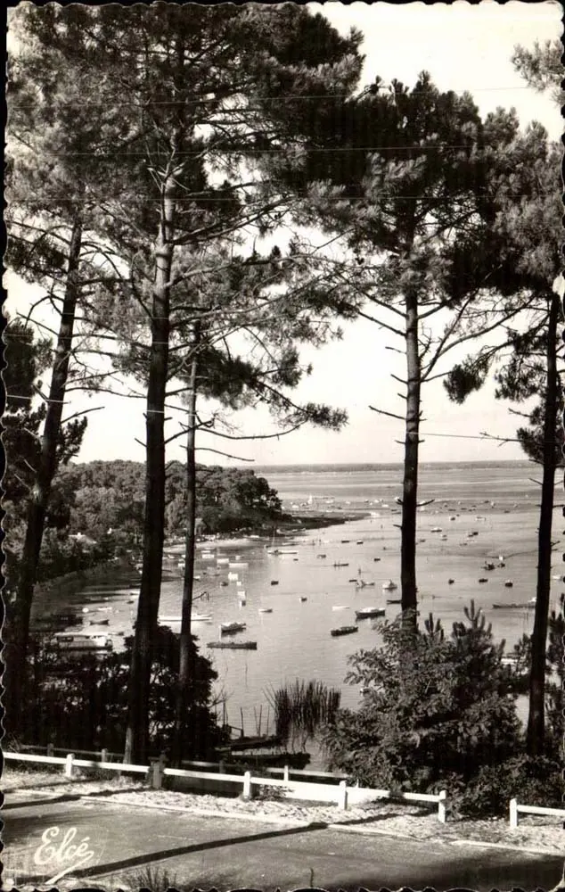 Bacia de Arcachon — vista dos pinheiros — L. Chatagneau, n°8524 - Frente