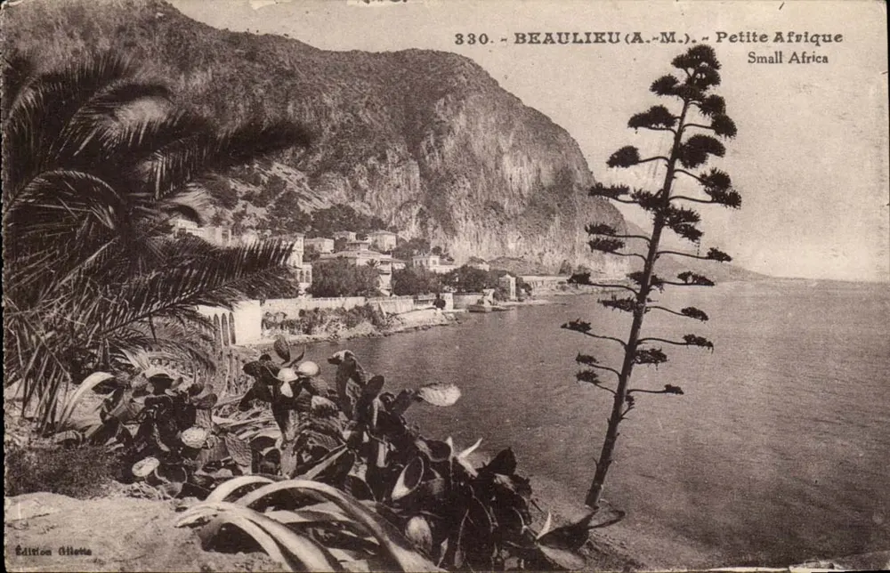 Beaulieu (A.-M.) — Pequena África — Edição Alletta, n° 330 - Frente