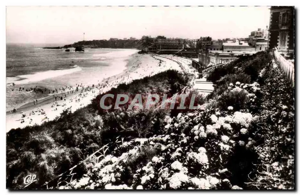 Biarritz — Les Hortensias et la Grande Plage — REAL-PHOTO C.A.P. PARIS - Vorderseite