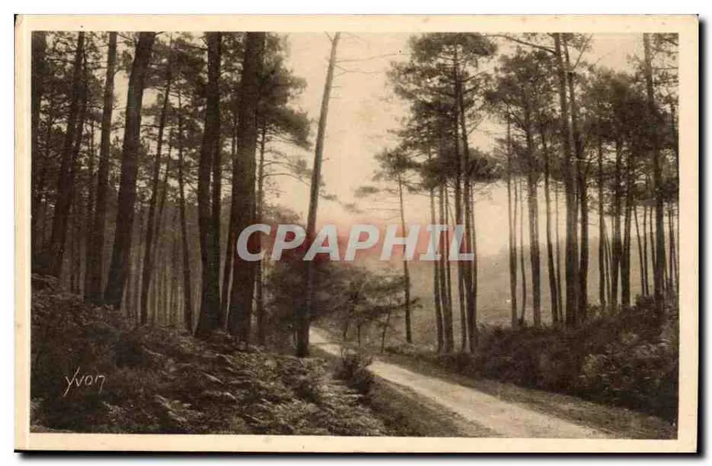 Die Landes von Gascony — Route von Léon nach Molliets — Yvon - Vorderseite