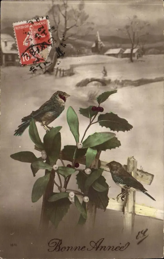Zwei Vögel auf einer schneebedeckten Eberesche — Frohe Weihnachten — unbekannter Verleger, Seriennummer nicht sichtbar - Vorderseite