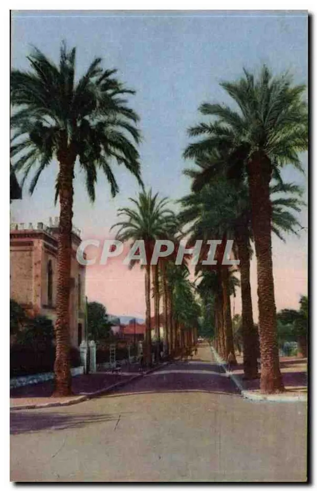 Avenue Costa-Beauregard — Hyères-les-Palmiers — Verlag Hyères-les-Palmiers - Vorderseite