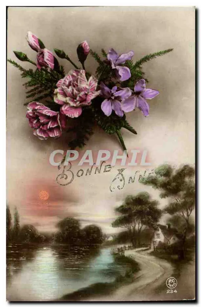 Blumenstrauß — Frohe Neujahr — PC 234, Verlag P-C Paris - Vorderseite