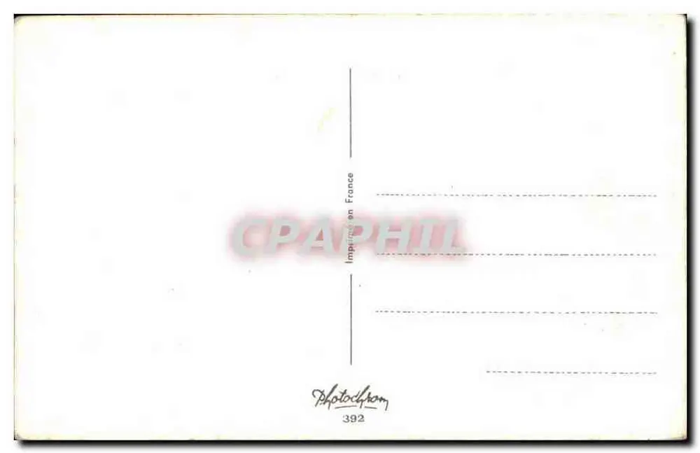 Büschel bunter Veilchen — Frohe Geburtstagskarte — Photodrom, n° 392 - Rückseite