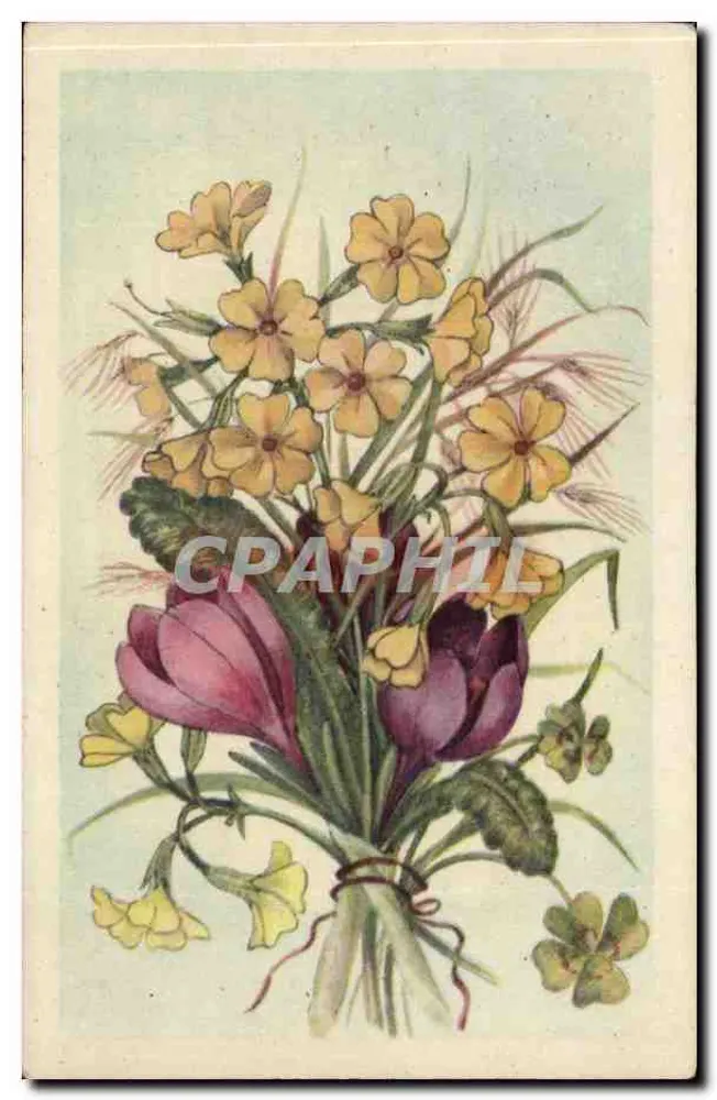 Arranjo de flores — Primulas e crocus — editor Lucos, número de série não visível - Frente