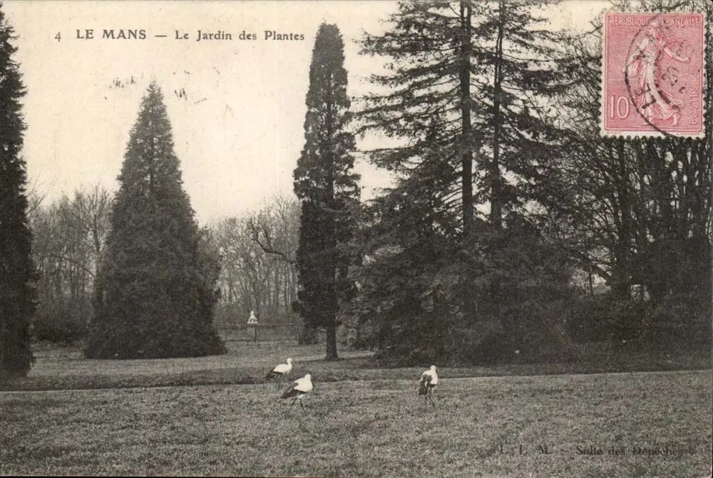 Le Mans — Der Botanische Garten — Verlag L. L. M. - Vorderseite