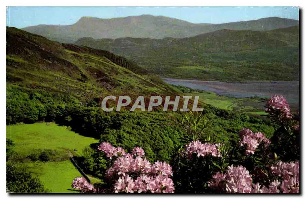 Le Mawddach Estuary — Panoramablick — Colourmaster International - Vorderseite