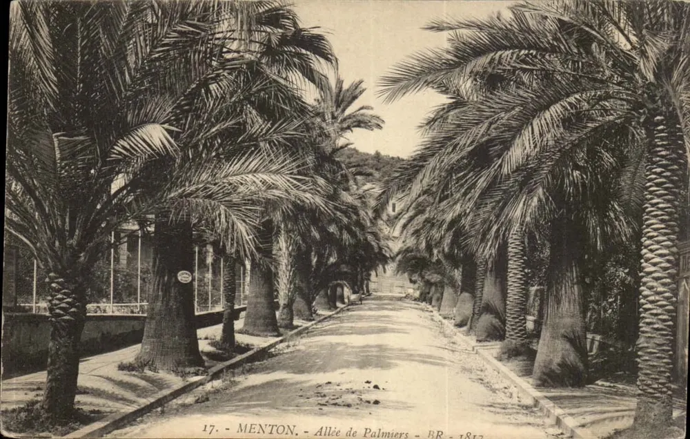 Menton — Aleja Palmiernych — BR — 1817 - Awers