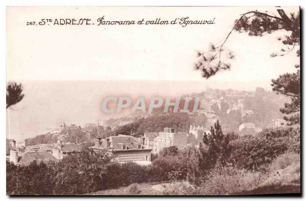 Panorama e vale de Ignauval — Sainte-Adresse — Série 267 - Frente