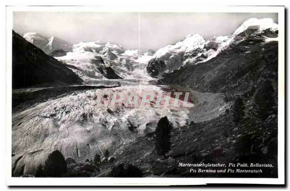 Morteratsch-Gletscher, Piz Bernina und Piz Palü — Fotografie von Wahli & Völlig & Co. in Zürich - Vorderseite