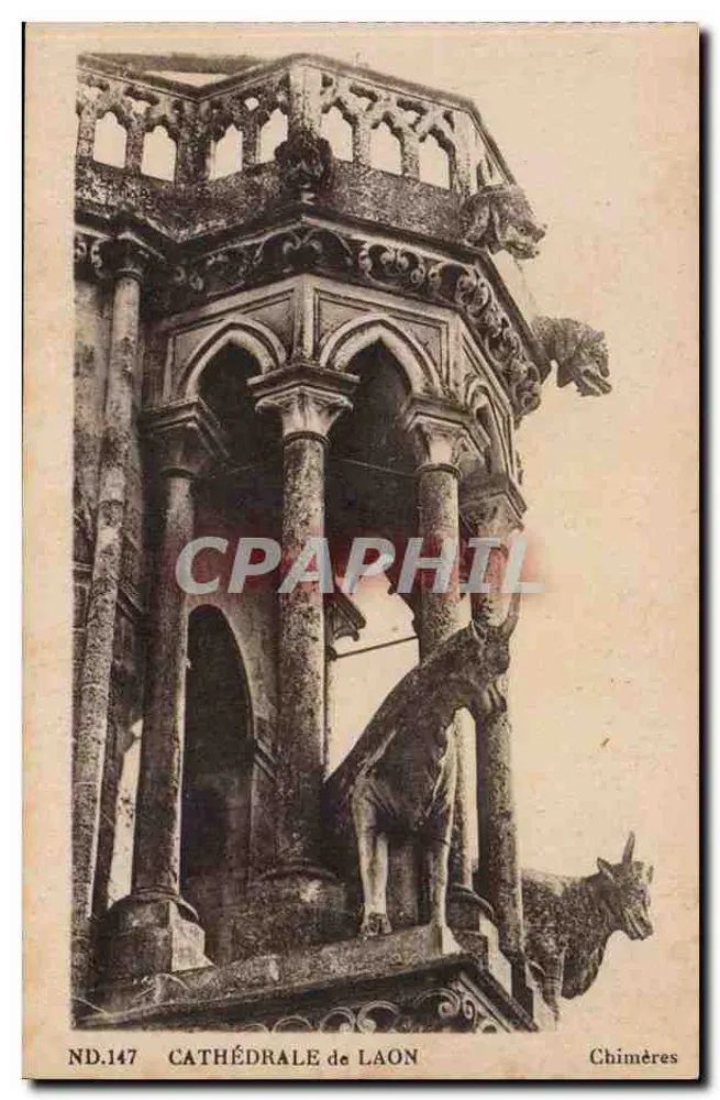 Catedral de Laon — Chiméras — Sociedade das Artes Fotomecânicas, Paris - Frente