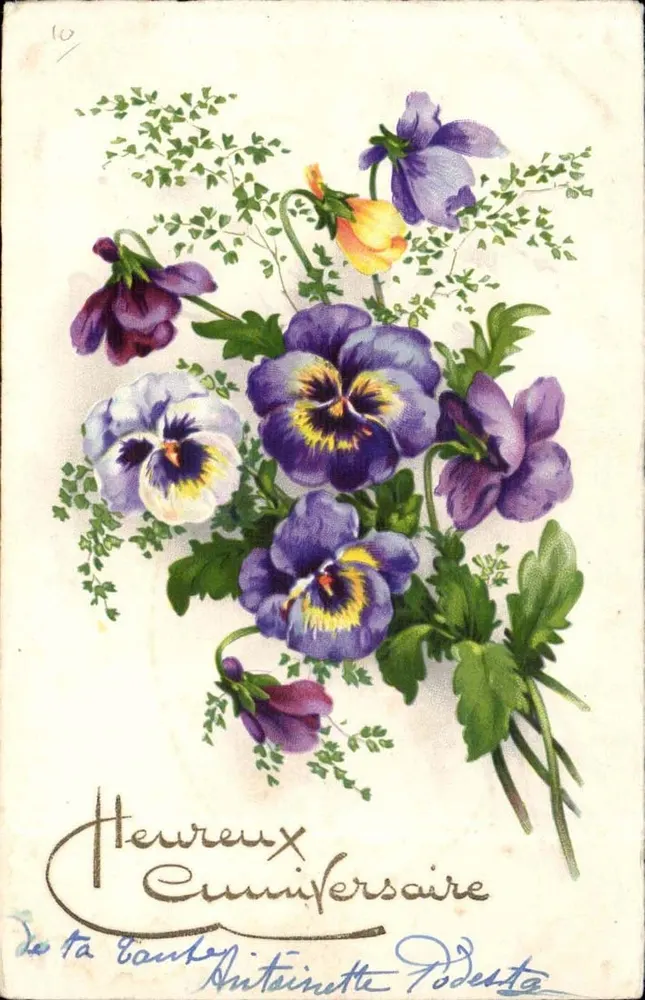 Arranjo de margaridas — Aniversário — Carte postale illustrée - Frente