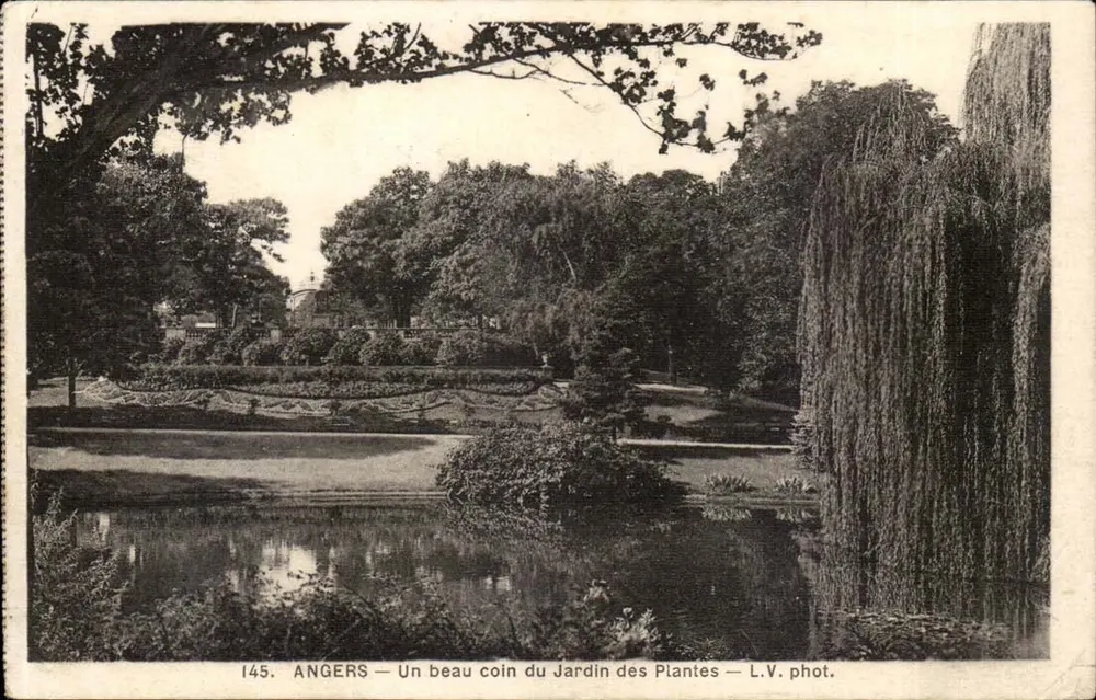 Angers — Ein schöner Teil des Jardins des Plantes — L.V. phot. - Vorderseite